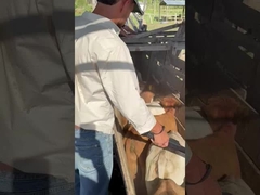 PT290 LF lettore di etichette d'orecchio per bovini lettore RFID