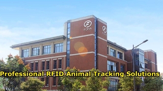 Soluzioni professionali per l'identificazione degli animali RFID di Fofia