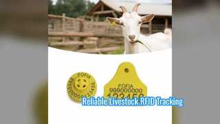 Marchi auricolari RFID certificati ICAR per il monitoraggio del bestiame
