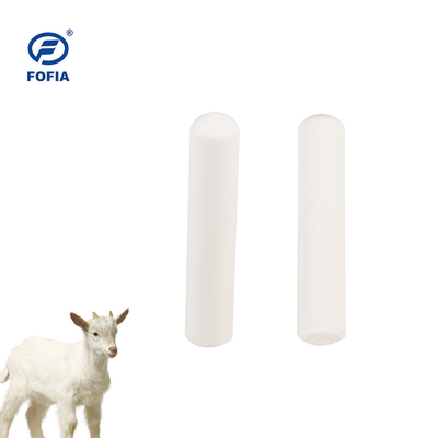 Identificazione degli animali Eartag bovini Rfid Bolus Tag 134.2khz