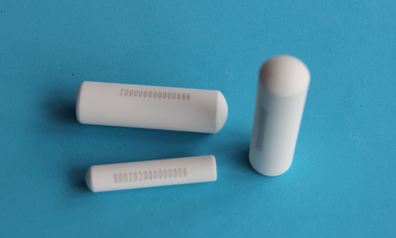 Identificazione degli animali Eartag bovini Rfid Bolus Tag 134.2khz