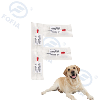 Microchip per il monitoraggio degli animali da compagnia con siringa bianca