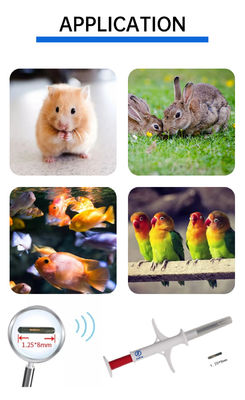 Fofia 2026 Vendita a caldo RFID 134,2 kHz Animal ID Microchip integrato Tipo etichetta auricolare ZS009 impermeabile per l'iniezione di animali domestici