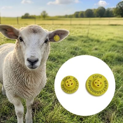Stampa laser di etichette auricolari elettroniche con norme di conformità FDX-B che garantiscono l'identificazione e la gestione dei dati del bestiame