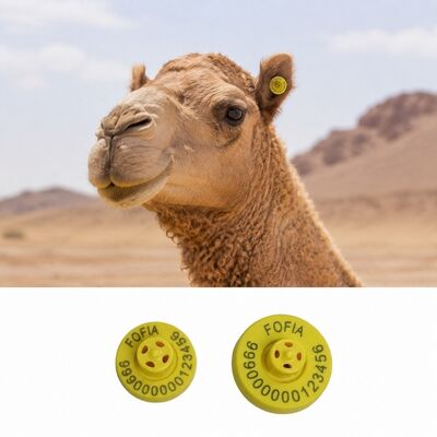 Frequenza 1342KHz Etichette dell'orecchio di una mucca da 4 a 7,4 grammi Etichette efficaci per sistemi di tracciamento e identificazione del bestiame