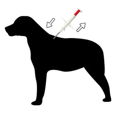 Siringa microchip per animali di alta precisione per cani e gatti di piccole dimensioni ZS007