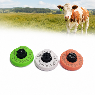 Tag auricolari elettronici che offrono soluzioni di tracciamento e identificazione del bestiame per ottimizzare i processi agricoli e la salute degli animali