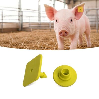 Stampa laser di etichette per orecchie di suino con standard di conformità EPC Gen2 V2 0 Ideale per il monitoraggio del bestiame e la gestione delle aziende agricole
