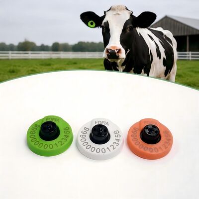 Tag auricolare elettronico durevole per la gestione del bestiame Sistema di identificazione e tracciamento del bestiame a sostegno delle operazioni agricole