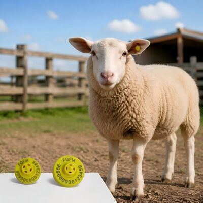 Etichette auricolari elettroniche di alta durata per l'identificazione e il monitoraggio del bestiame a supporto dei sistemi di gestione degli animali