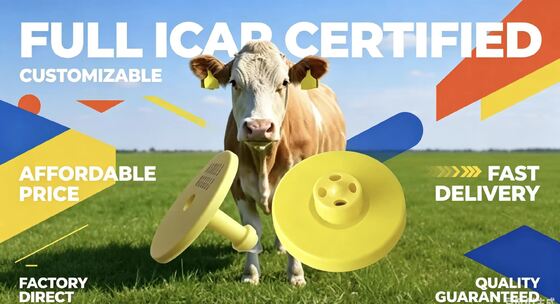 Etichette d'orecchio elettroniche durevoli per l'identificazione e il tracciamento del bestiame a sostegno della gestione delle aziende agricole e del monitoraggio degli animali