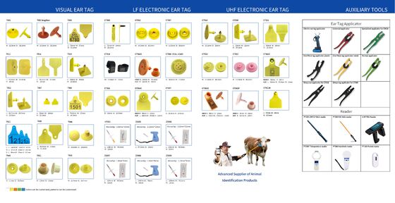 FULL ICAR TPU personalizzabile Orecchini di mucca bianchi Etichette di plastica Animali Orecchini per pecore Capre Orecchini per bovini