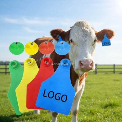 T904 Marchio visivo dell'orecchio del bestiame Marchio TPU durevole per la gestione dell'allevamento e della macellazione