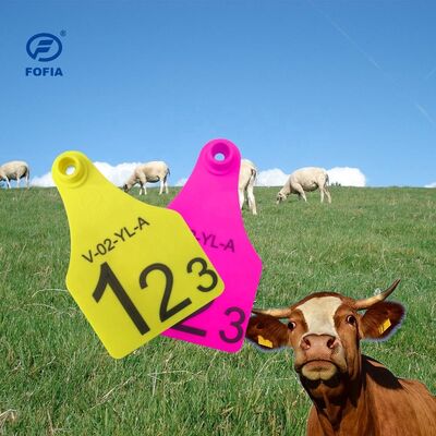 T921 Marchio d'orecchio per animali giallo RFID TPU di tracciamento per uso in allevamenti bovini