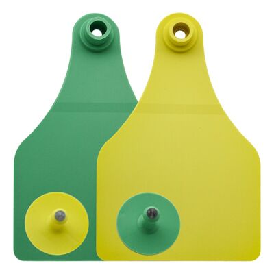Etichette d'orecchio bovini 3 mesi Pakistan SB-7-701 ISO9001 Plastica SHANBRO Aziende agricole di sostegno online