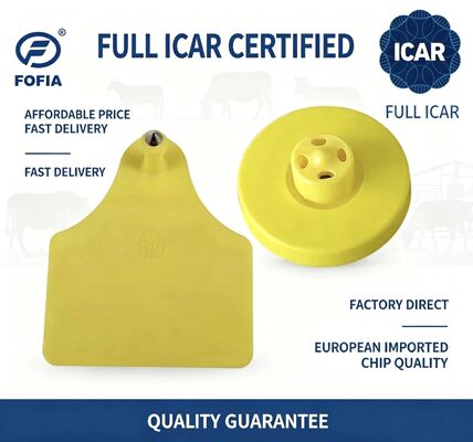 Full ICAR ET908+T905 RFID impermeabile TPU etichette d'orecchio da animale gialle FDX-B 134.2Khz EM4305 chip bovini
