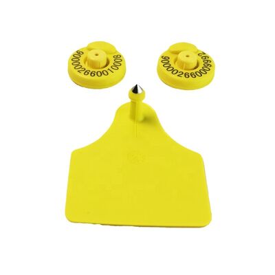 FULL ICAR Standard TPU Yellow Electronic Ear Tags Soluzione avanzata di gestione del bestiame