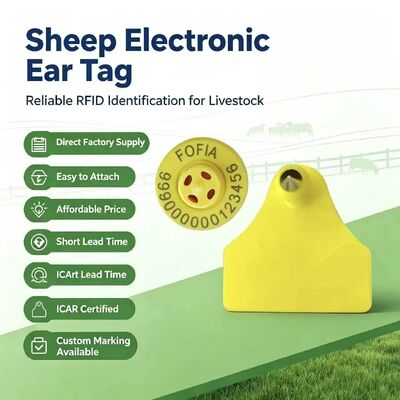 Combinazione resistente all'acqua Etichetta auricolare elettronica per il monitoraggio degli animali Nuova alta qualità RFID TPU Laser Coding 3 anni di garanzia Fofia