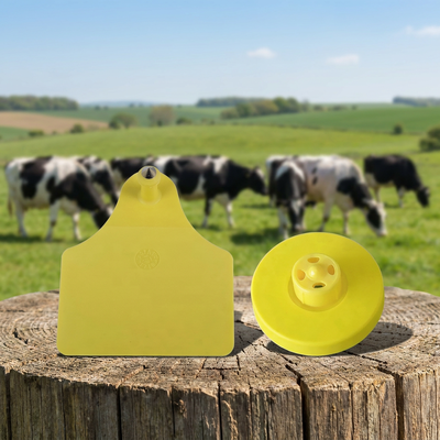FULL ICAR Certified TPU RFID Access Card - 30mm Round ISO11784/5 Animal Ear Tag per sistemi di accesso sicuro
