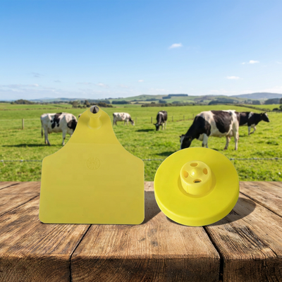 Marchio d'orecchio giallo del maiale Scannabile Livestock FULL ICAR Identification Label Alta visibilità Adatto per il sistema di tracciamento delle fattorie suine