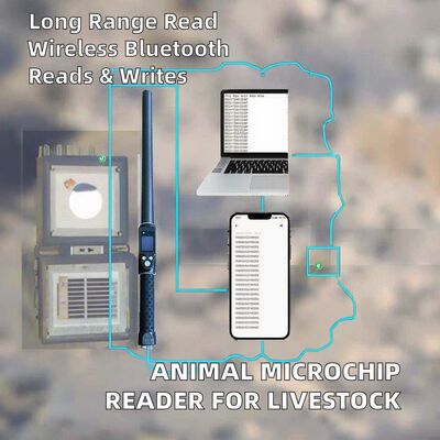 Durabile impermeabile a lungo raggio 134,2 kHz RFID Ear Tag Reader ISO11784/5 Protocollo 30-100cm Distanza di lettura Materiale in PVC per l'agricoltura
