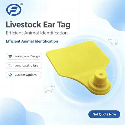 ICAR Fofia T904 Chip per orecchio animale Nuova alta qualità RFID TPU Codifica laser Garanzia 3 anni Uso in fattoria per tracciamento bovini