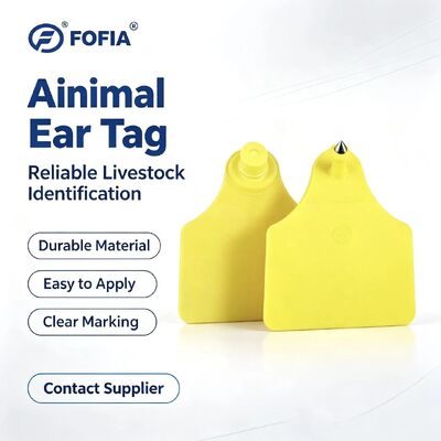 Etichetta auricolare animale combinata ICAR T904+T905 Nuova RFID TPU di alta qualità 70*57mm Codifica laser Garanzia 3 anni Uso in fattoria per bovini