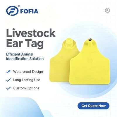 ICAR T904+T905 Combinazione Etichetta Auricolare per Tracciamento Animali Nuova RFID TPU Plastica 70*57mm Codifica Laser Garanzia 3 Anni Uso Aziendale Bovini