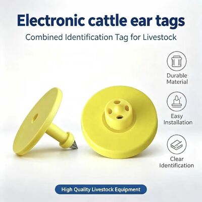 Tag auricolare RFID impermeabile con conformità ISO11784/5 e garanzia di 5 anni per il monitoraggio del bestiame