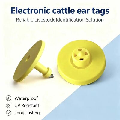Nuove etichette auricolari per animali ICAR ET908+T901 impermeabili RFID LF TPU gialle da 14,5 mm con chip EM4305, garanzia di 5 anni per bovini Fofia