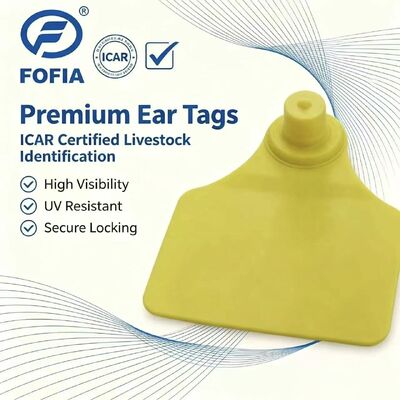 ICAR Fofia T904 Animal Ear Tag Chip Nuovo RFID TPU Laser Coding di alta qualità 3 anni di garanzia