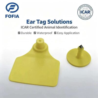 Etichetta auricolare RFID ICAR Fofia T904 +T901 per animali in TPU resistente all'acqua con codifica laser, garanzia di 3 anni per il tracciamento del bestiame