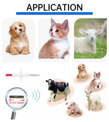 Etichetta auricolare impermeabile Fofia Nuova RFID 134.2kHz Materiale PP per cani Microchip per uso agricolo Animale domestico Iniezione 1.5 Anni