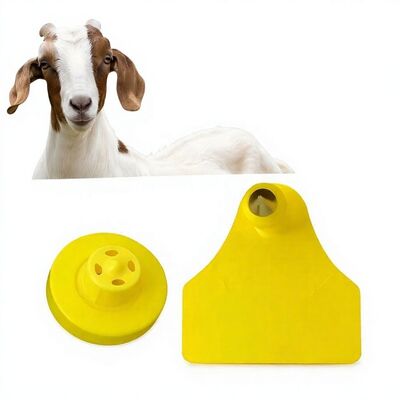 Tag auricolare a tracciamento elettronico di animali per capre e pecore resistente all'acqua Nuovo codice laser RFID TPU di alta qualità Modello di garanzia di 3 anni