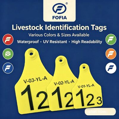 Nuove etichette auricolari in plastica per bovini, ovini e suini, etichette auricolari per uso agricolo con numero e chip per il tracciamento degli animali