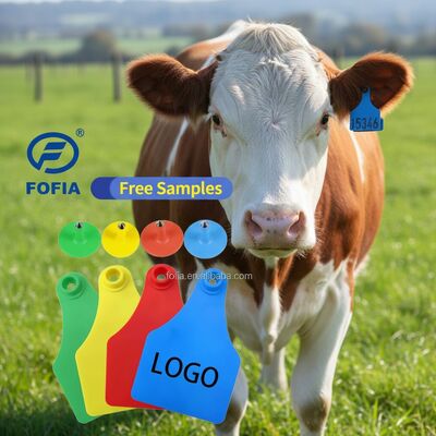 Nuove etichette auricolari in plastica per bovini, ovini e suini, etichette auricolari per uso agricolo con numero e chip per il tracciamento degli animali