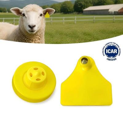 Acque resistenti resistenti Fofia Combinazione di pecore capra Chip elettronico di tracciamento degli animali Tag auricolare Nuovo RFID TPU Laser Coding Farm 3 anni