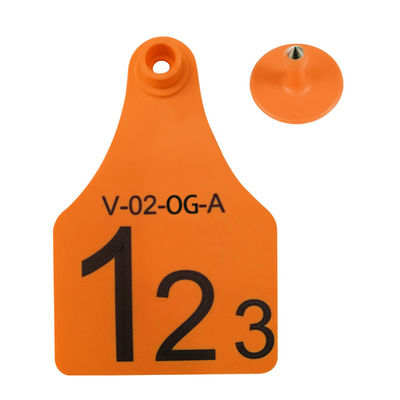 TPU T904+T905 resistente all'acqua e resistente, sterilizzato, combinazione di etichette d'orecchio per animali per l'identificazione degli animali