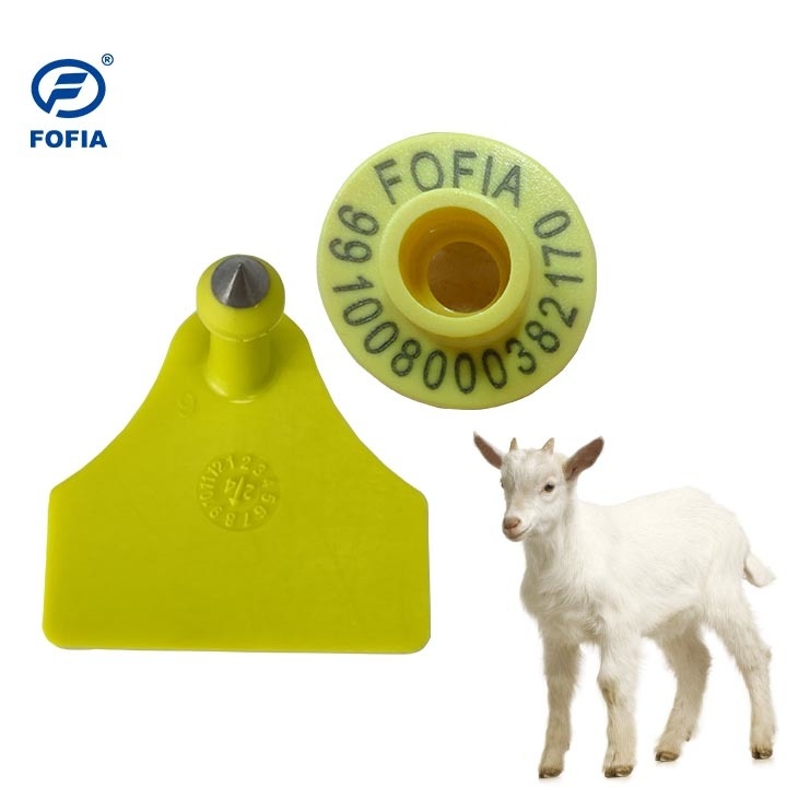 Etichette personalizzate per le orecchie per l'identificazione e la classificazione del bestiame