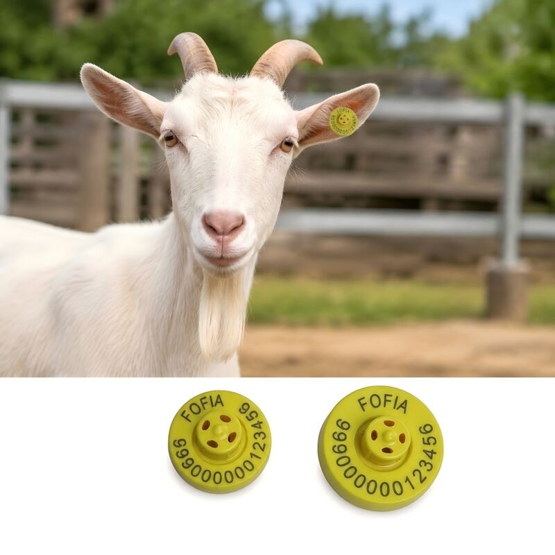 Portata di lettura fino a 22 cm con lettore portatile di marchi auricolari per suini, stampa laser, soluzione durevole di identificazione del bestiame