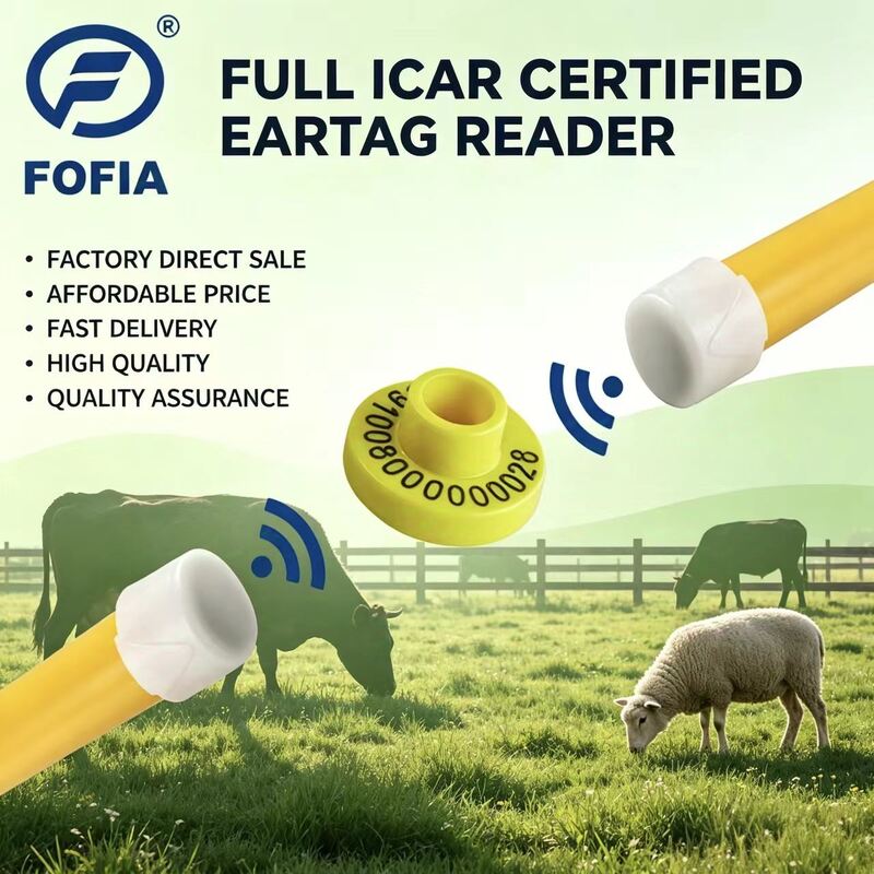 Etichette auricolari elettroniche certificate ICAR per il bestiame che forniscono soluzioni di identificazione e monitoraggio per la gestione delle aziende agricole