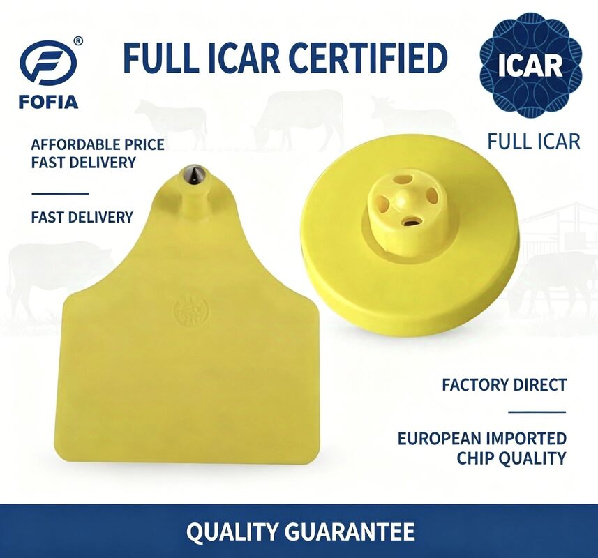 Full ICAR ET908+T905 RFID impermeabile TPU etichette d'orecchio da animale gialle FDX-B 134.2Khz EM4305 chip bovini