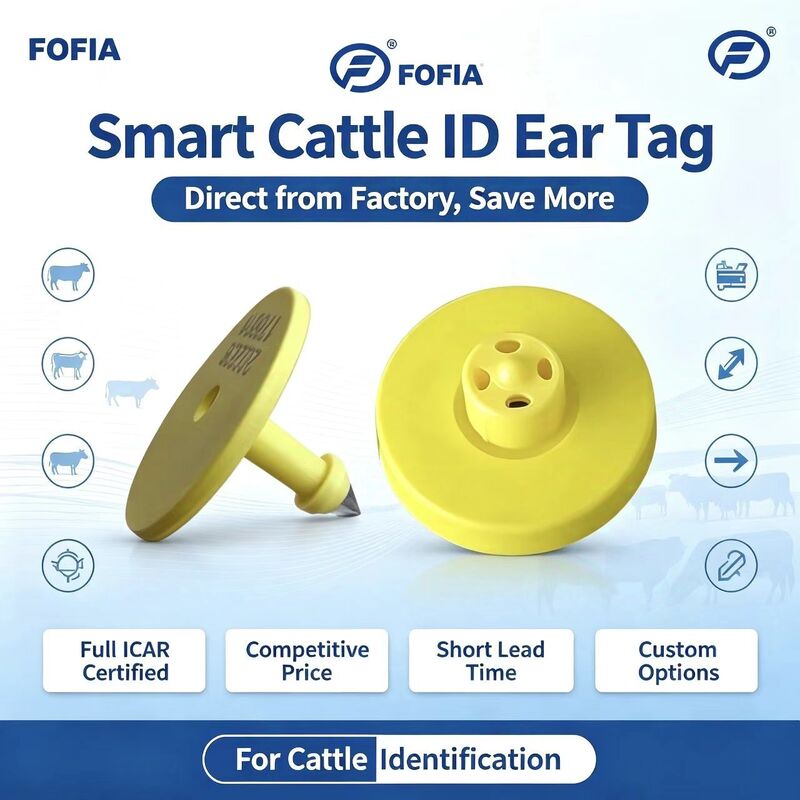 Completo ICAR ET908 + T901 RFID impermeabile LF TPU Giallo Marchi auricolari per animali 14,5 mm EM4305 Chip 5 anni di garanzia Bovini Fofia