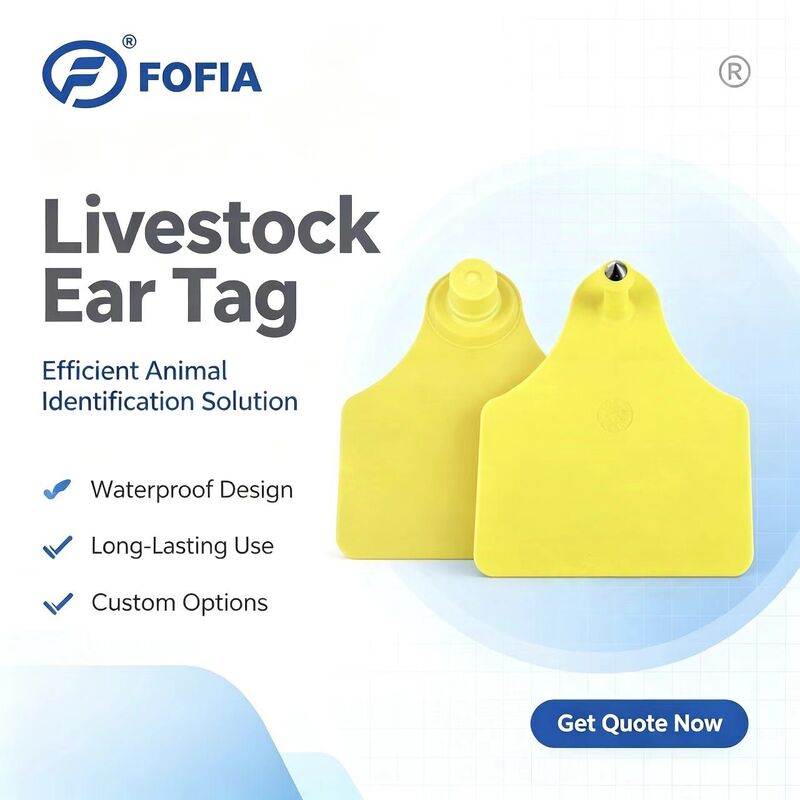 ICAR T904+T905 Combinazione Etichetta Auricolare per Tracciamento Animali Nuova RFID TPU Plastica 70*57mm Codifica Laser Garanzia 3 Anni Uso Aziendale Bovini