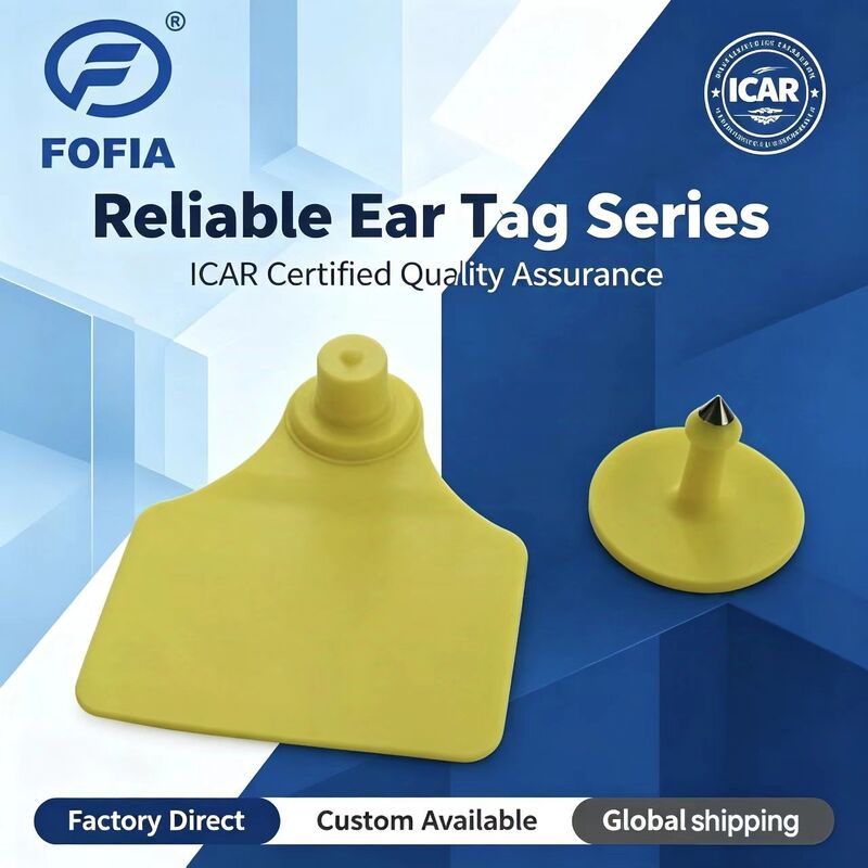 Acqua resistente ICAR Fofia T904+T901 Animal Ear Tag Nuovo RFID TPU 72*57mm di alta qualità con codifica laser 3 anni di garanzia per uso in azienda agricola