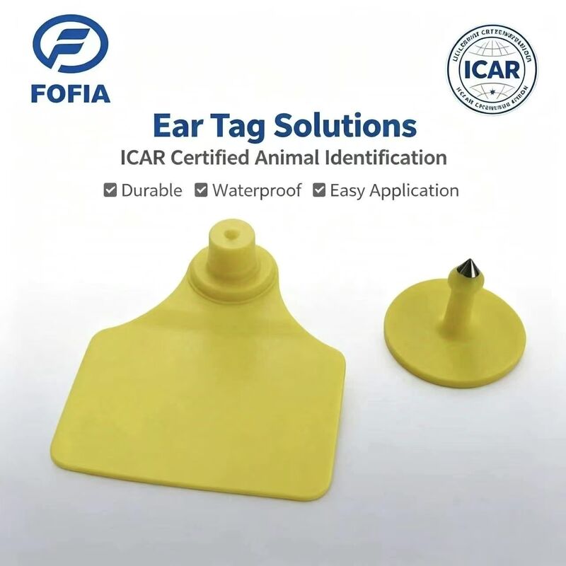 Etichetta auricolare RFID ICAR Fofia T904 +T901 per animali in TPU resistente all'acqua con codifica laser, garanzia di 3 anni per il tracciamento del bestiame