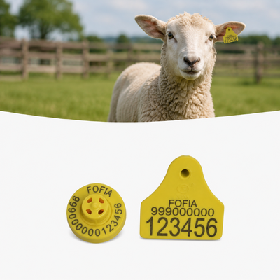 Tag di identificazione delle pecore TPU Frequenza 134,2KHz Tag auricolari leggeri progettati per l'identificazione del bestiame a lunga durata