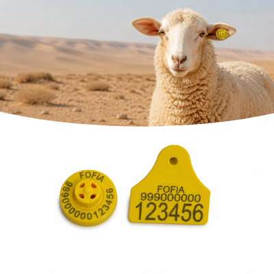 Distanza di lettura 22cm per FDX-B Sheep Ear Tags 4.0g Frequenza 134.2KHz progettata per migliorare la produttività delle aziende ovine