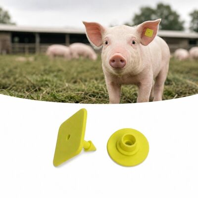 Etichette elettroniche UHF per l'orecchio degli animali TPU leggere 3,2 grammi Etichette di identificazione per un accurato monitoraggio del bestiame e la raccolta di dati