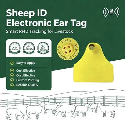 Fofia combinazione impermeabile tracciamento elettronico degli animali auricolare nuova alta qualità RFID TPU laser coding 3 anni di garanzia capra